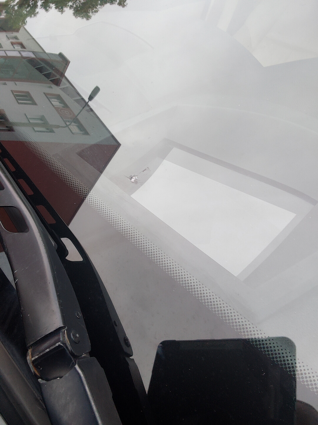 Steinschlag in Windschutzscheibe